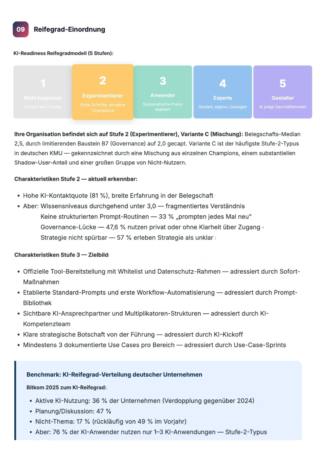 Reifegraed einordnung inkl. Benchmark Vergleich